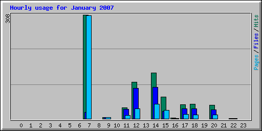 Hourly usage for January 2007