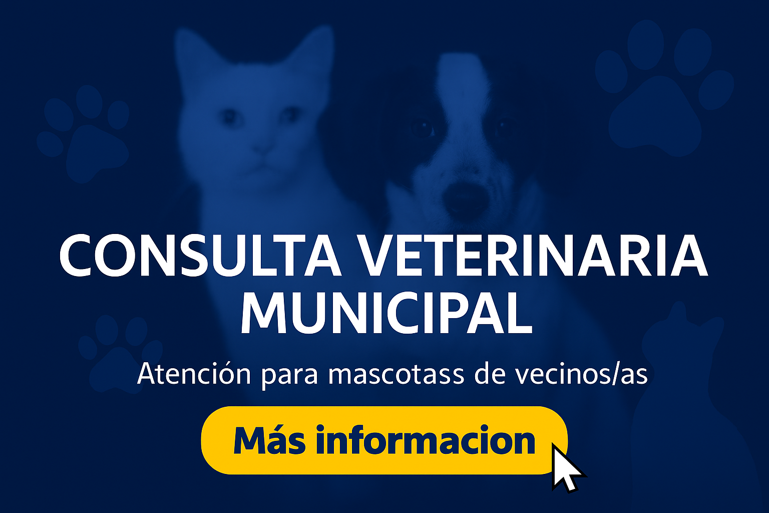 Consulta Veterinaria Municipal