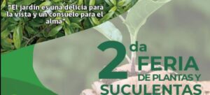 Feria de plantas y suculentas.