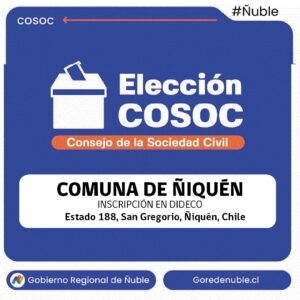 ELECCIÓNES COSOC